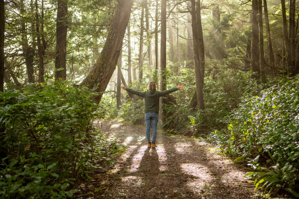 Young man contemplating rainforest and sunbeams illuminating the trees