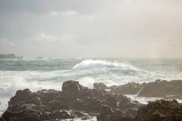 istock Waves crashing on rocks from ocean storm, Tofino, Canada 1191212205