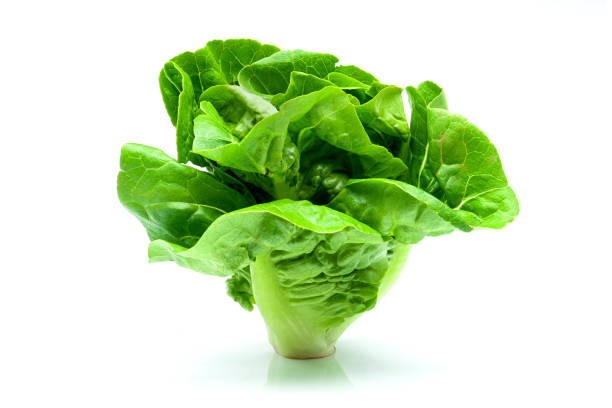 istock Fresh green Butterhead Lettuce isolated on white background. 1191212989
