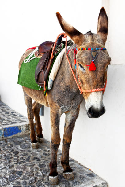 istock Santorini in Greece 1191213463