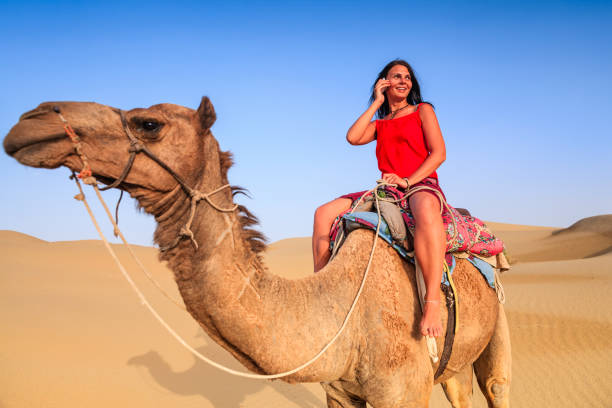 istock Young female tourist using mobile on a camel, Rajasthan, India 1191214512