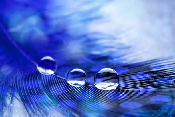 Photo of Beautiful transparent water drops or rain water on soft background. Macrophotography. Desktop background. Selective focus.