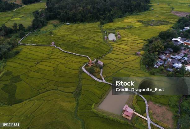 Beautiful Aerial View At Green Rice Field With Bamboo Bridge At Paimae Hong Son Thailand Stock Photo - Download Image Now