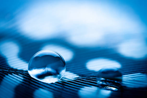 istock Beautiful transparent water drops or rain water on soft background. Macrophotography. Desktop background. Selective focus. 1191215738