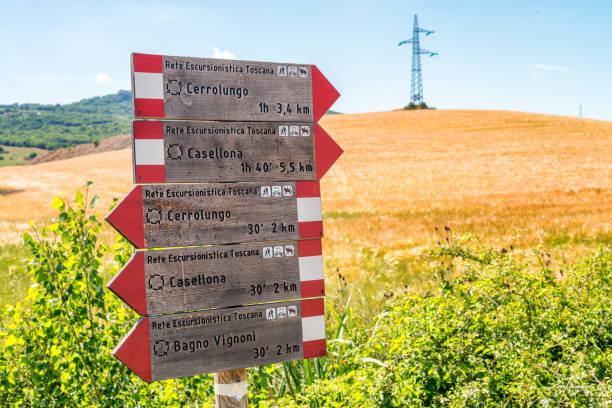 istock Trails in Val D'Orcia - Tuscany - Italy 1191220474