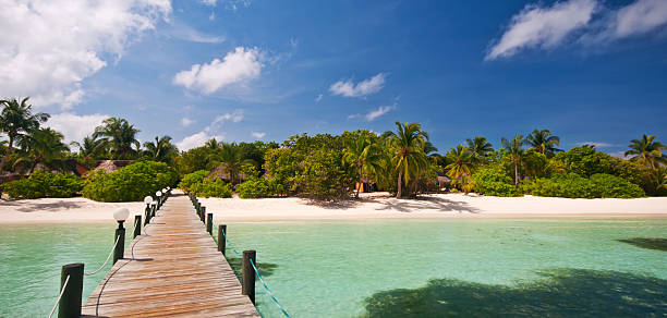 istock jetty to a tropical beach 119122294