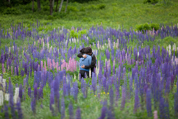 Couple Hugging in Beautiful Field of Lupine Flowers stock photo