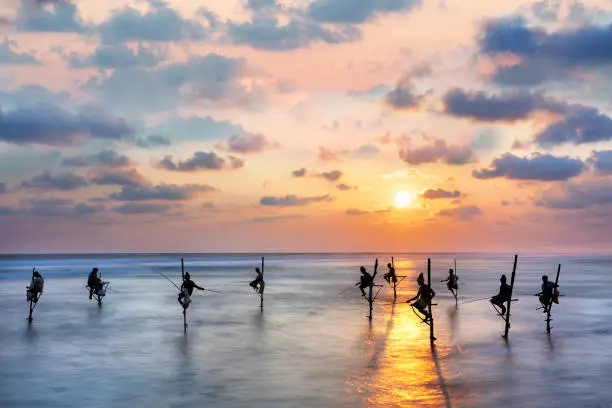Fishermen on stilts in silhouette at the sunset in Galle, Sri Lanka