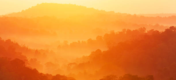 istock Wonderful autumn mountain in the morning mist. 1191226821