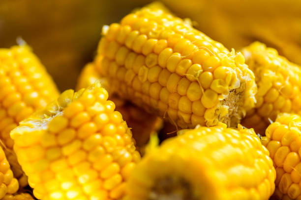istock Corn on the cob in a bowl cooked 1191228382