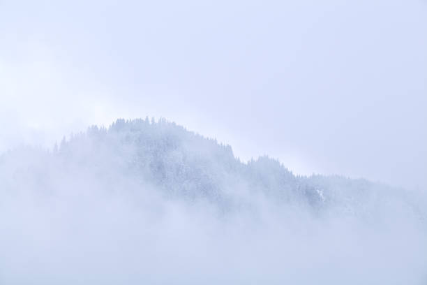istock mountain top in dense winter fog 1191230689