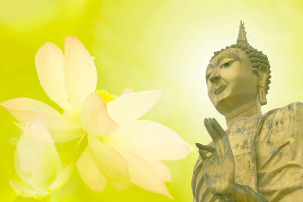 istock The Buddha and the Lotus as a backdrop. 1191232107