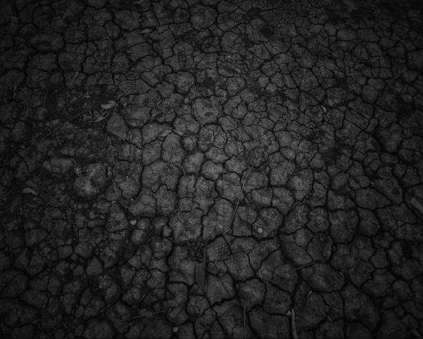 istock Abstract texture pattern of cracked graphic effect in black and white color using as a background 1191233957