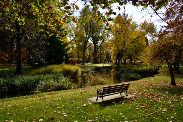 istock Park Bench and Stream Wait for Autumn Colors 1191234113