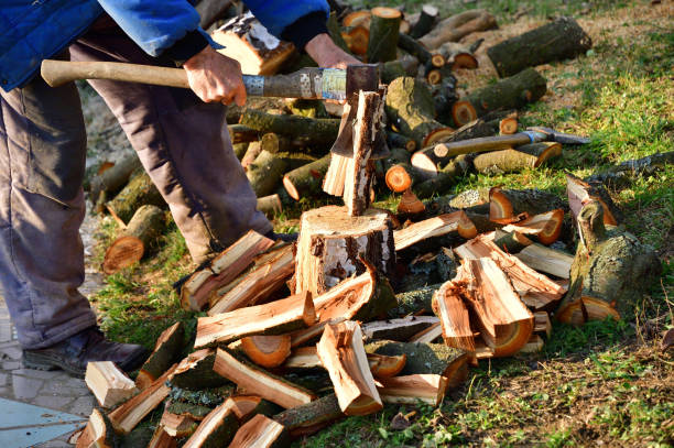 Woodcutter cuts wood with an ax in the garden of the village stock photo