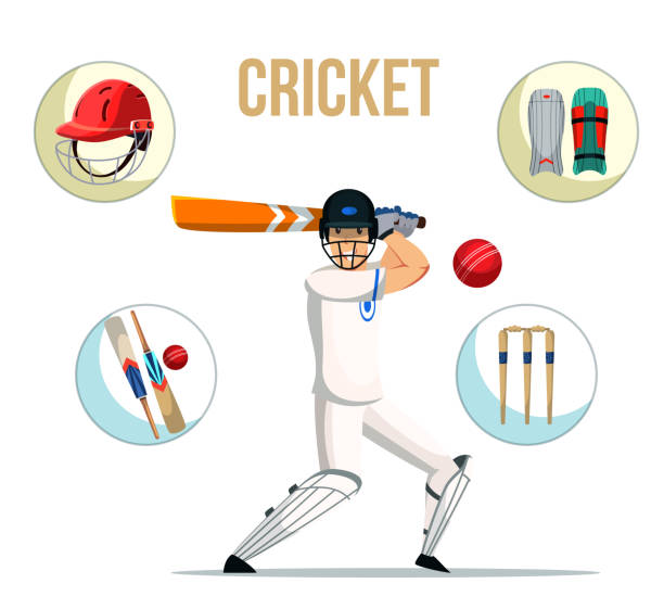 live cricket flache banner vektor vorlage - color image batting illustration technique adult stock-grafiken, -clipart, -cartoons und -symbole