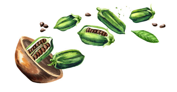 istock Bowl with black sesame pods. Hand drawn horizontal watercolor illustration, isolated on white background 1191236897