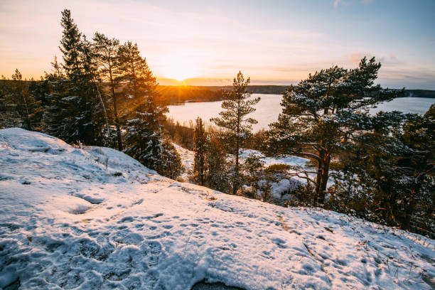 istock Scenic winter landscape with forest, sunset in Finland 1191237058