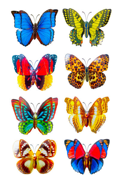 istock Set of butterflies 1191240278
