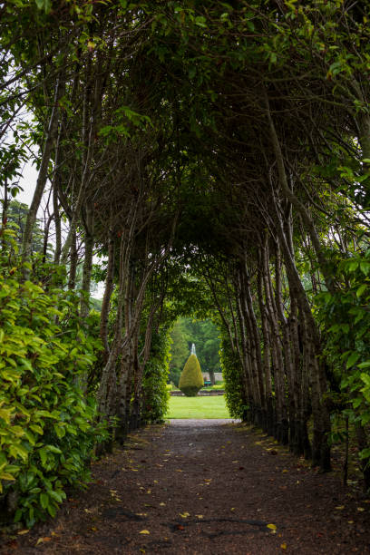 les jardins du château de dunrobin, une maison seigneuriale à sutherland, dans les highlands écossais le long de la côte nord-500 sur une journée nuageux. - scotland castle highlands region scottish culture photos et images de collection