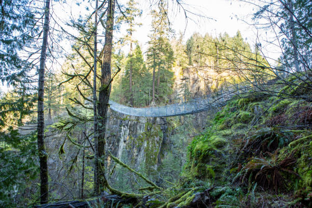 istock Suspension bridge crossing canyon in rainforest, river beside 1191241341