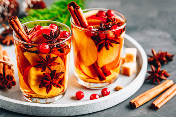 vin chaud de cidre de pomme chaud toddy ou poinçon de noel dans le verre avec des fruits et des épices - fruit winter orange lemon photos et images de collection