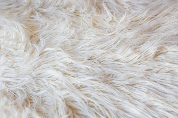 istock artificial fur background white cream. Flat lay. 1191243925