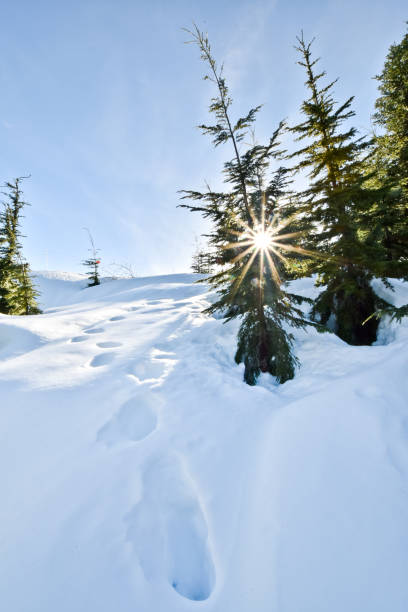 Snowshoeing at eagle bluff in west Vancouver, BC