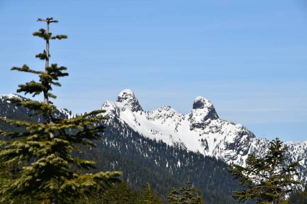 istock Snowshoeing at eagle bluff in west Vancouver, BC 1191246431