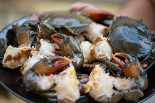 istock Black crab steep fish sauce 1191247603