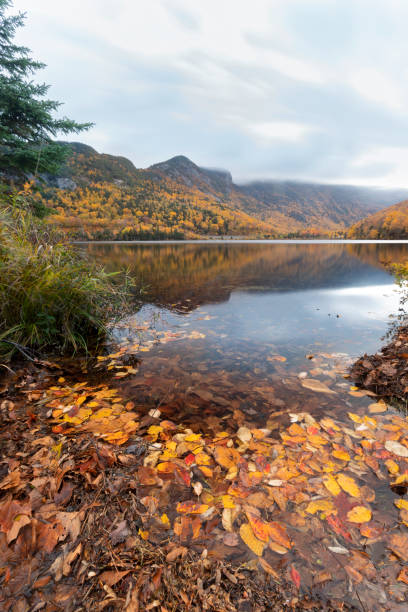 istock Echo lake - New Hampshire 1191253113