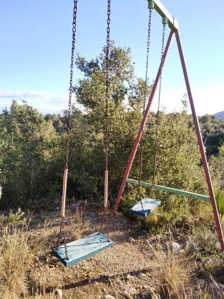istock old swing in the middle of the forest 1191254100