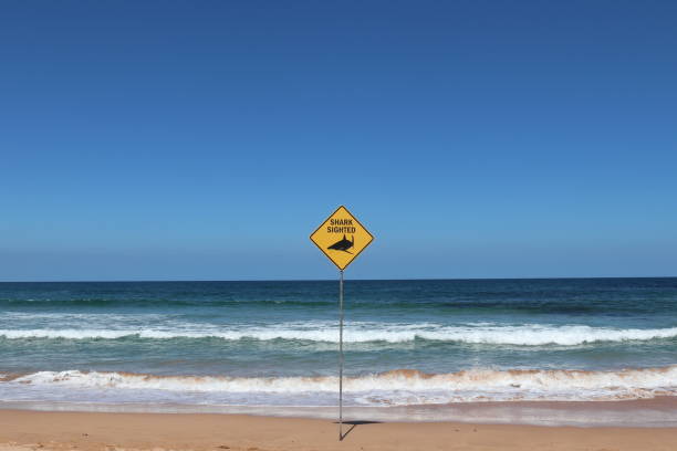 Shark Warning Danger Sign on a Beach in Australia