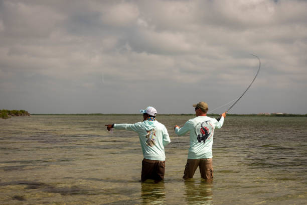 un guía de pesca beliceño señalando la escuela de peces de hueso al pescador mosca. - bonefish fotografías e imágenes de stock