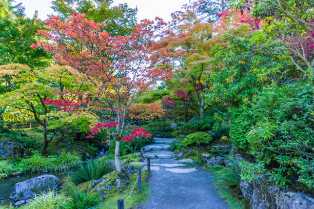 istock Garden Walkway With Fall Colors 1191260603