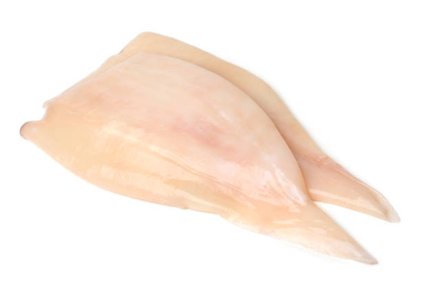 Fresh raw fillet squid Fresh raw fillet squid on white background calamari stock pictures, royalty-free photos & images