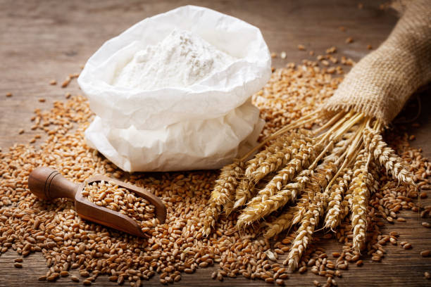 istock wheat ears, grains and flour 1191264259