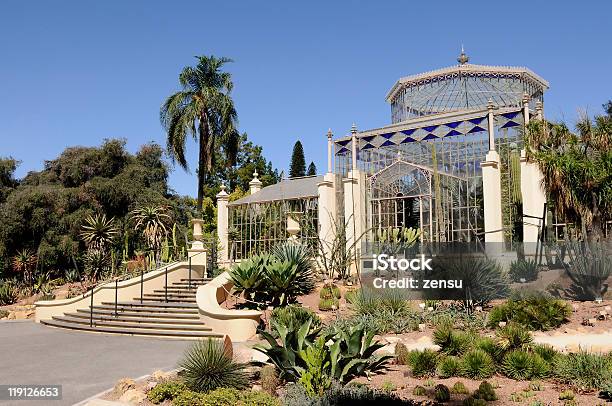 Jardín Botánico Foto de stock y más banco de imágenes de Jardín Botánico - Jardín Botánico, Adelaida, Aire libre