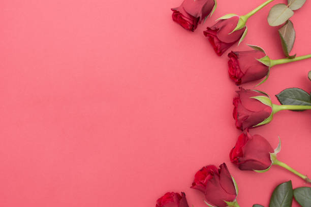 istock Red roses over red background flat lay. Valentine's Day, Birthday abstract background with copy space. 1191267143