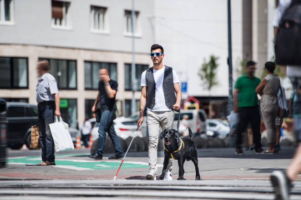 Young blind man with white cane and guide dog walking on pavement in city. A young blind man with white cane and guide dog walking on pavement in city. aids walk stock pictures, royalty-free photos & images