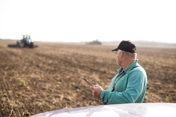 istock Modern senior farmer using tablet on the field 1191270443