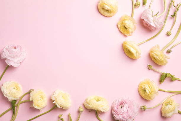 istock Flowers composition with flowers on pastel pink background. Flat lay, top view, copy space 1191270867