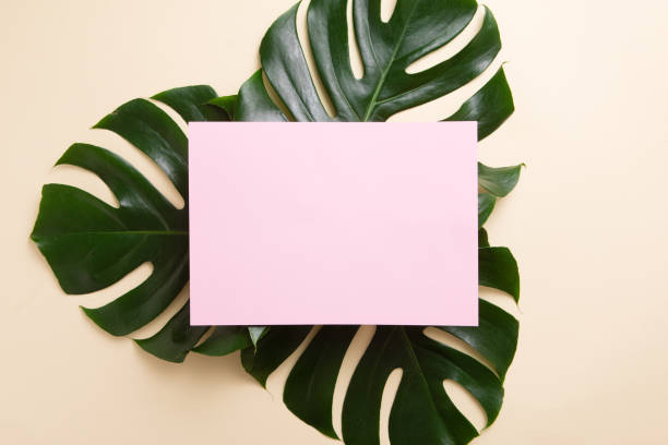 istock Green palm leaf branches on yellow background. flat lay, top view 1191270874