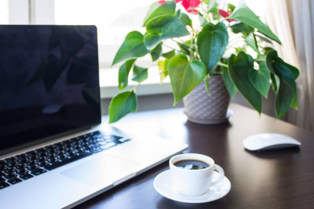 working space with a desk, a laptop - isolated on white breakfast cafe office imagens e fotografias de stock