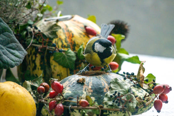 istock titmouse on an autumn decoration 1191277859