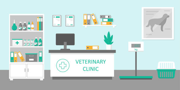 ilustrações, clipart, desenhos animados e ícones de veterinário sala de recepção clínica ou hospital holl interior em estilo plano. conceito de medicina. - veterinary office
