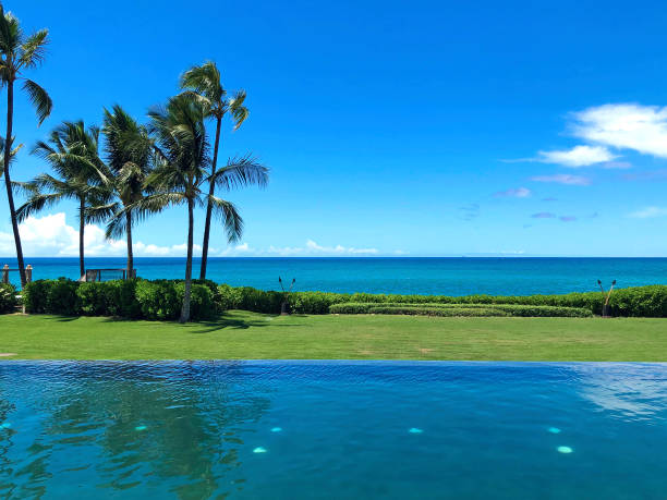 istock Hawaii Infinity Pool 1191282646