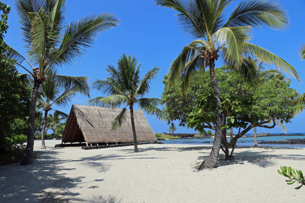 istock beautiful white beach in Hawaii 1191287129