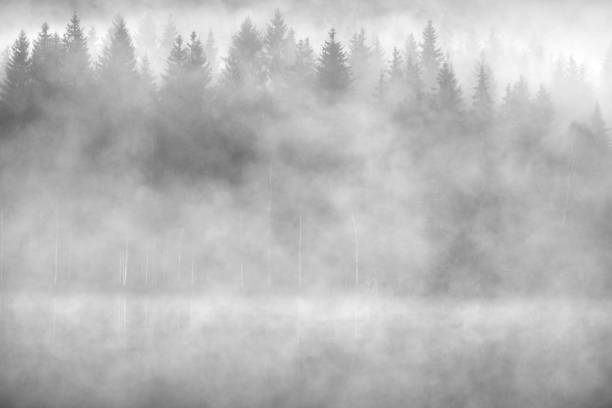 istock Abstract black and white atmosphere at the lake 1191287367