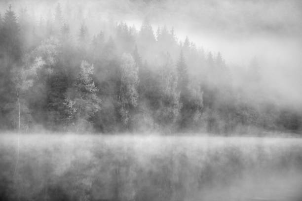 istock Mysterious black and white atmosphere at the lake 1191287375